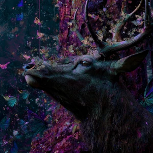 Opus Magnus Philosophiae curves. Esoteric, ritualistic, dark aca...