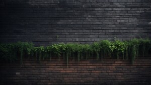 A DARK GRAY BRICK WALL THAT HAS BEEN WEATHERED DOWN OVER TIME WI...
