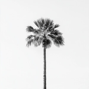 Create an image depicting a robust palm tree with a wide trunk a...