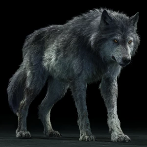 Large, lithe but heavily muscled, taller than a man at the shoul...