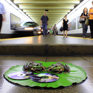 Two frogs selling pirated DVDs on a lily pad in a subway. They a...