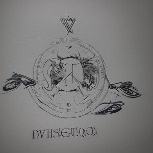 Create a logo for the DVLS company. The company name must be vis...