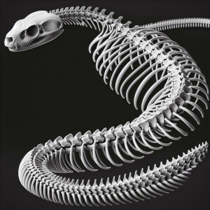 Snake full-body