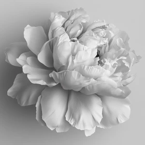 : "A lush, blooming peony with layered petals that curl and over...