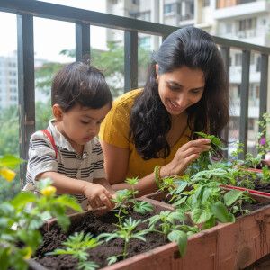 A modern young Indian brown mother having a small herb garden wi...