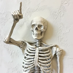 3d bas relief of a skeleton against a white wall, holding his mi...