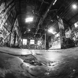 **Title:** Echoes of Wheels: Capturing the Dystopian Soul of an...