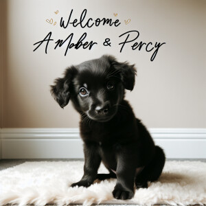 Black Puppy with words: Welcome Amber and Percy