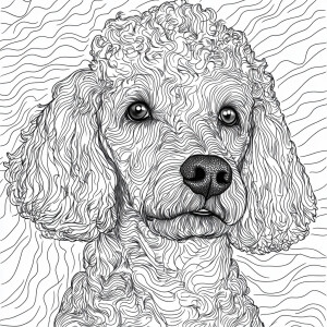 Generate a coloring book-style image in hyper realistic style fe...