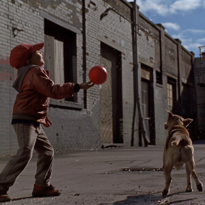 DVD screen grab, 1980’s Cinema, kid is throwing a ball to a dog.