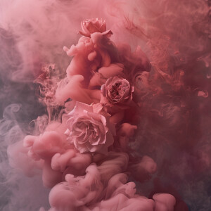 Rose pink color and grey smoke collage
