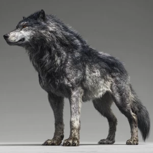 Large, lithe but heavily muscled, taller than a man at the shoul...