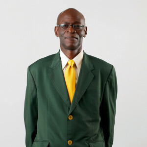 A man wearing a suit.

The Suit Color is Green

The Tie Color is...
