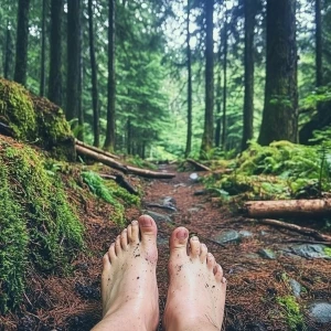 “Throwback to a day exploring the enchanting Olympic Mountains i...