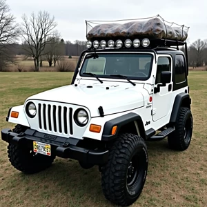 white Jeep TJ 2006