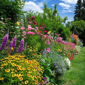 Describe the serene beauty of a well-tended garden filled with c...
