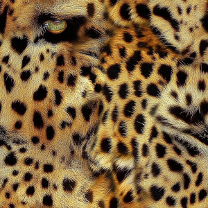 Create a seamless tileable pattern featuring realistic leopard s...