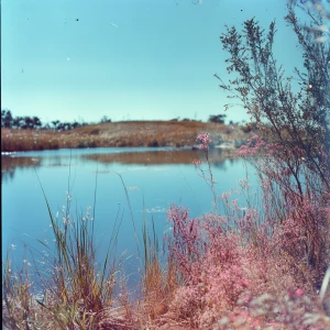 Agfa color armadillo lake