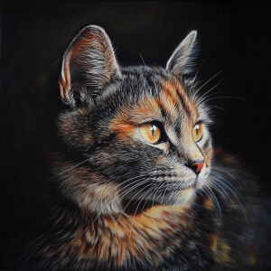 una imagen de un gato