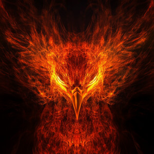 Fire bird , phoenix, flame, computerized facing forward