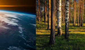 Поверхность планеты, пригодной для углеродной жизни.  Но на кото...