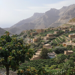 Yemeni village with coffee farms around with mountains and sea i...