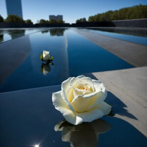 A solemn image shows the reflective twin pools of the 9/11 Memor...