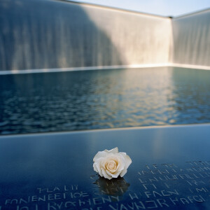 A solemn image shows the reflective twin pools of the 9/11 Memor...