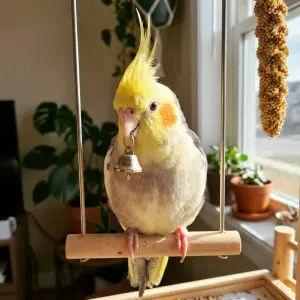 Nano Banana Pro