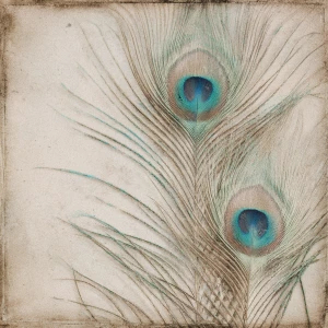 Only whisper-light peacock feather barbs (no eyes) brushing in f...