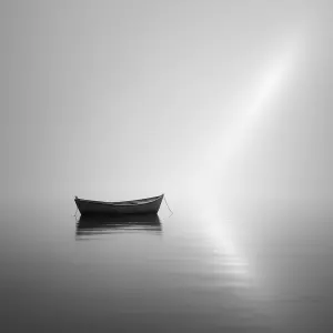 Minimalist Monochrome