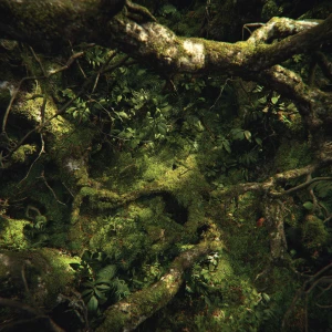 A hyper-realistic, high-angle photography shot of a dense, dark...