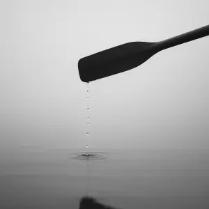 Minimalist Monochrome