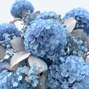 Transparent PNG cluster (3): dusty blue hydrangea heads with tin...
