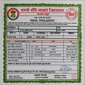 Prepare a medical certificate of payal Prajapati who is having f...