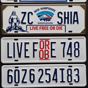 For those looking to create a realistic representation of a New...