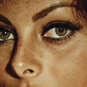 Close up of Sophia Loren