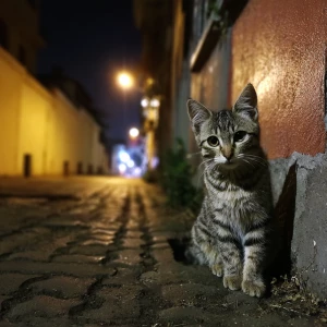 Bir cadde üzerinde tek başına duran sevimli bir kedi. Sokak lamb...