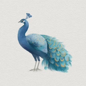 Style: Shabby-Chic Peacock — flat watercolor + soft gouache; des...