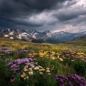 Wide 16:9 cinematic shot of Rocky Mountain alpine meadow in late...