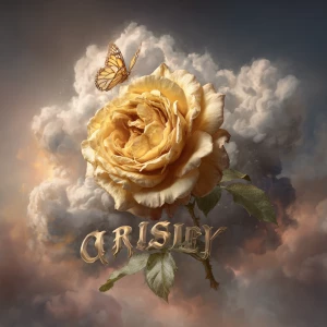 Yellow butterfly mixed into a rose while underneath a cloud form...