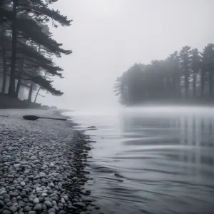 Mono Aesthetic