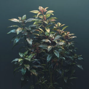 Create a realistic image of a dark green pikcher plant composed...