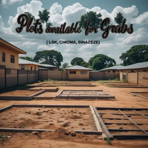 A poster with the words: plots available for grabs (LSK, Choma,...