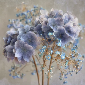 Prompt: Dusty-blue hydrangea heads mixed with tiny forget-me-not...