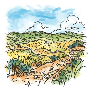 Sawir landscape ah  Nakhshada faahfaahsan
Casharka ka hortagga D...