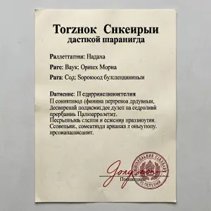 I need a medical  certificate but it should be of any russian ho...
