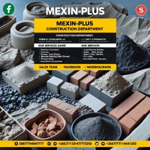 I need a business flyer with the information bellow

MEXIN-PLUS...