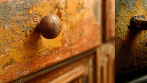 Capture a detailed close-up of a single section of a kitchen cab...