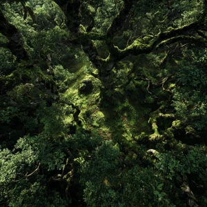 A hyper-realistic, high-angle photography shot of a dense, dark...